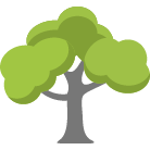 Bellevue Tree Removal Service