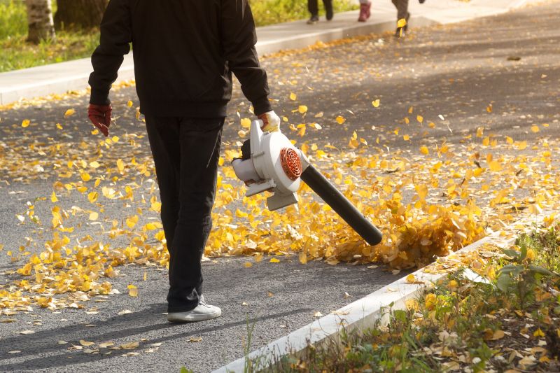 Leaf Blowing to Clear Driveways