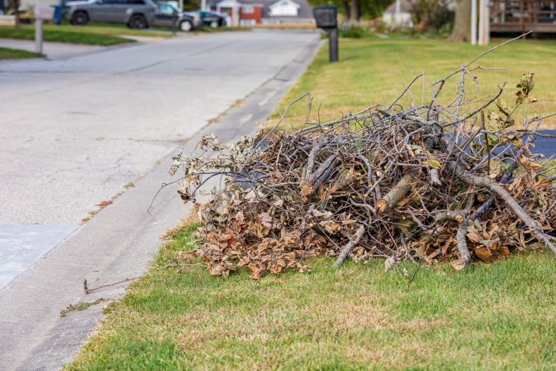 Yard Post-Leaf Removal