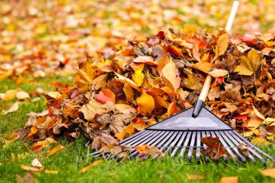 Fall Landscape Maintenance